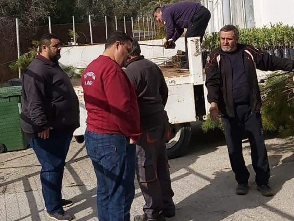 Περιφερειακό Φυτώριο: 2.700 δασικά και καλλωπιστικά φυτά αλλάζουν το περιβάλλον, την ποιότητα ζωής και το μέλλον των νησιών