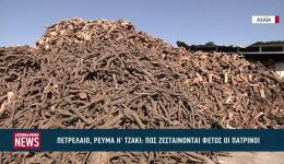 petreleo-revma-i-tzaki-pos