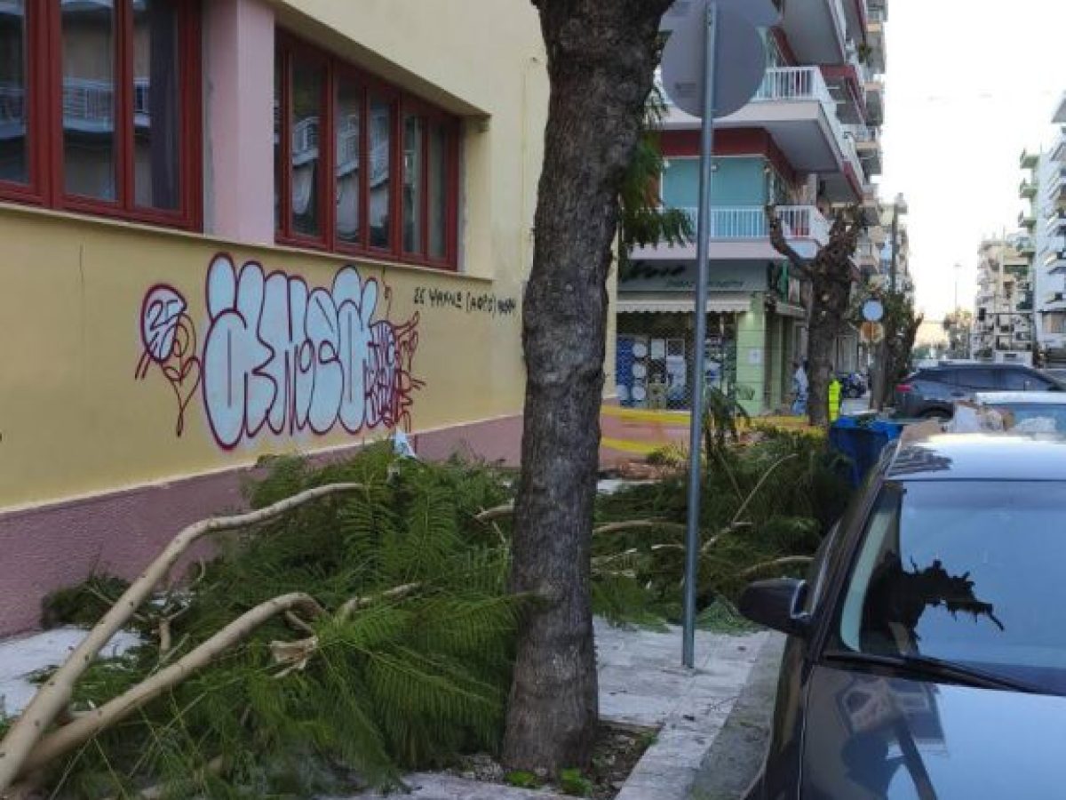 Πεζοδρόμιο κατειλημμένο από κλαδιά