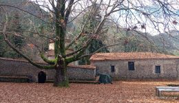 pezoporiki-diadromi-ston-taΰgeto