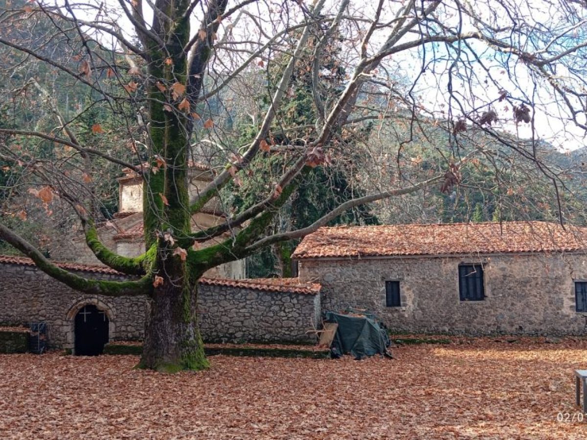 Πεζοπορική διαδρομή στον  Ταΰγετο με «Τα Γεράκια»