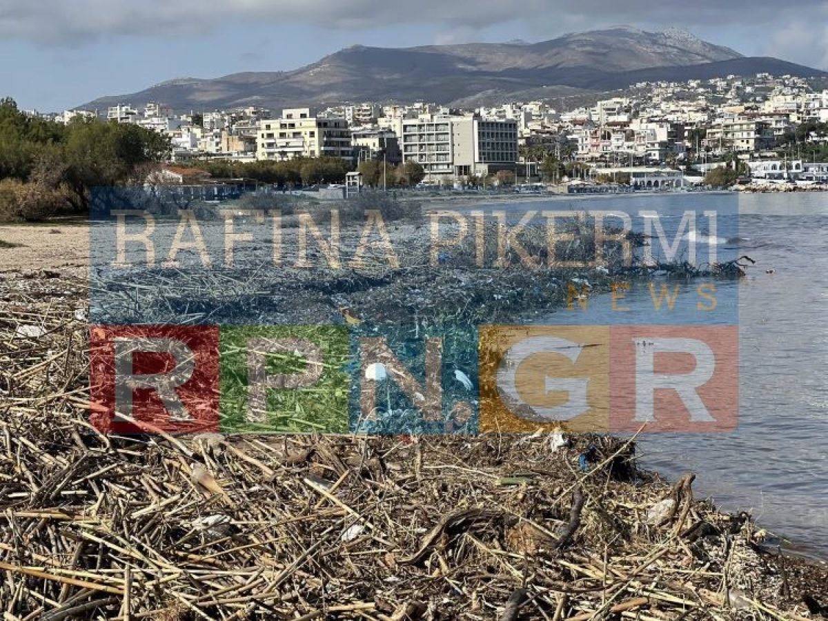 Ποιες παραλίες της Ραφήνας είναι μη ασφαλείς για επίσκεψη και χρήση λόγω φερτών υλικών – ανακοίνωση του ΟΛΡ – anattica