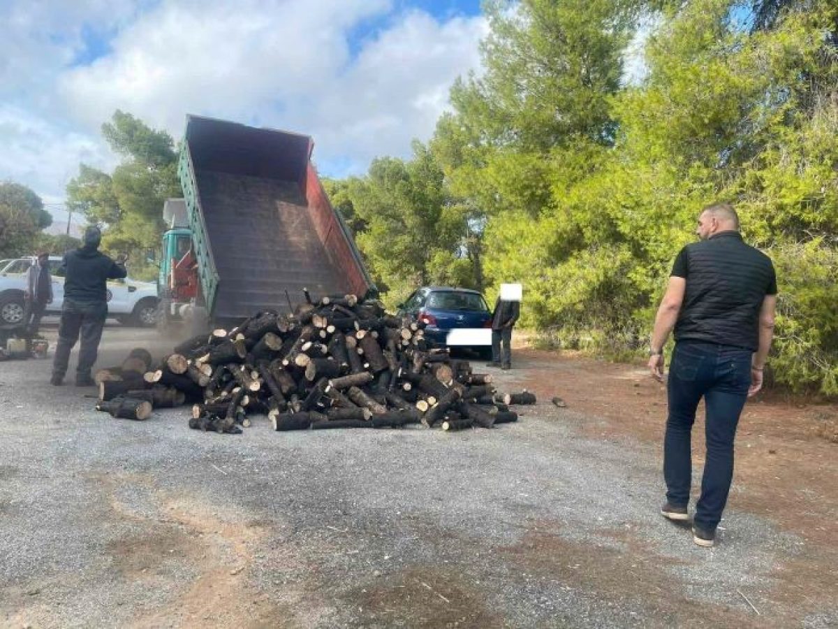 Πικέρμι: Δωρεάν διανομή καυσόξυλων στους δημότες, την Τρίτη 20 Ιανουαρίου στη Διώνη – rpn