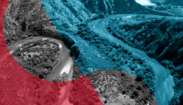 platforma-simmetochis-gia-ti-nea-1