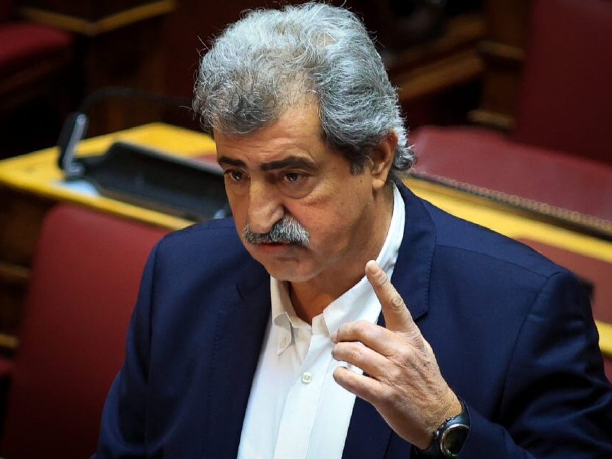 Πολάκης: Έχετε βαλθεί οτιδήποτε δημόσιο να το παραδώσετε στην κερδοσκοπική διαχείριση των ομίλων που κυβερνούν στην πραγματικότητα τη χώρα