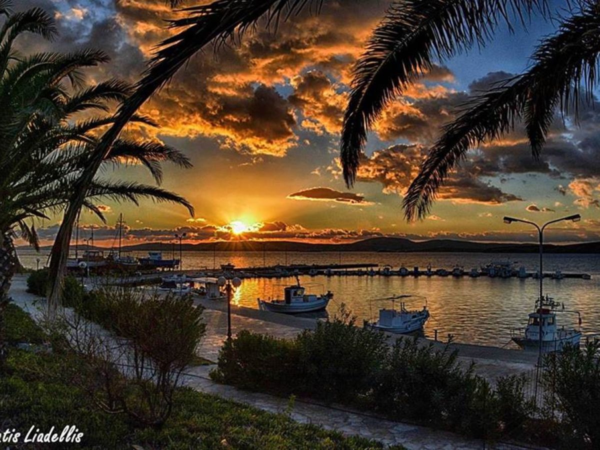 Πολιτιστικός Σύλλογος Νόστος, κοπή της πρωτοχρονιάτικης πίτας και χοροεσπερίδα το Σάββατο 24 Ιανουαρίου