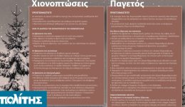 portokali-proidopiisi-gia-ti-chio