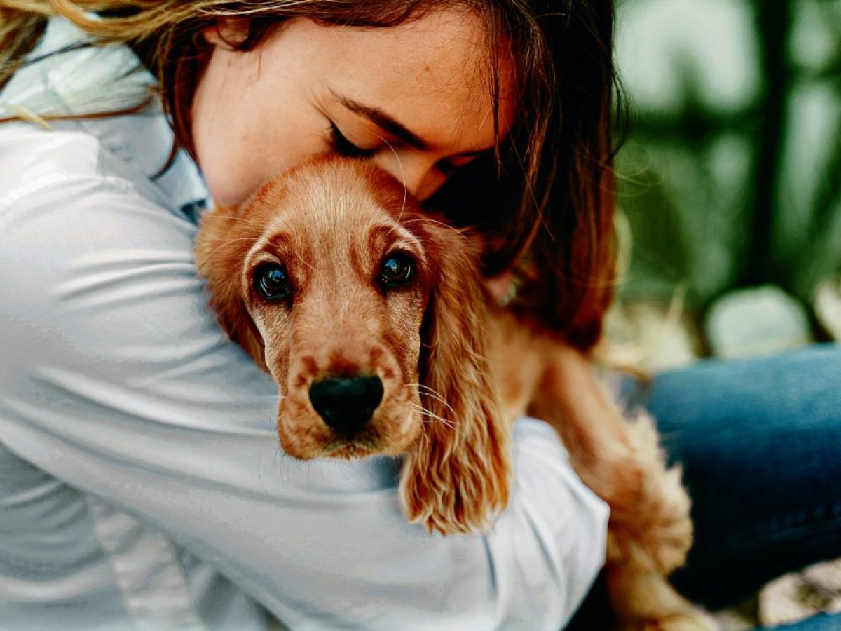 Πώς ο σκύλος στο σπίτι ενισχύει την ψυχική υγεία των εφήβων