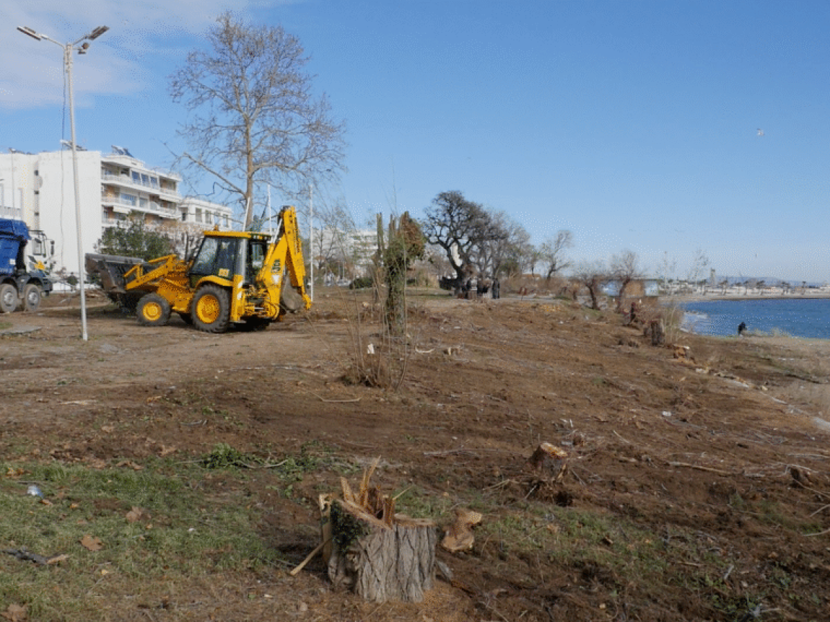 Πώς θα πρασινίσει ξανά η Αλεξανδρούπολη; 