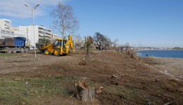 pos-tha-prasinisi-xana-i-Αlexandroupoli