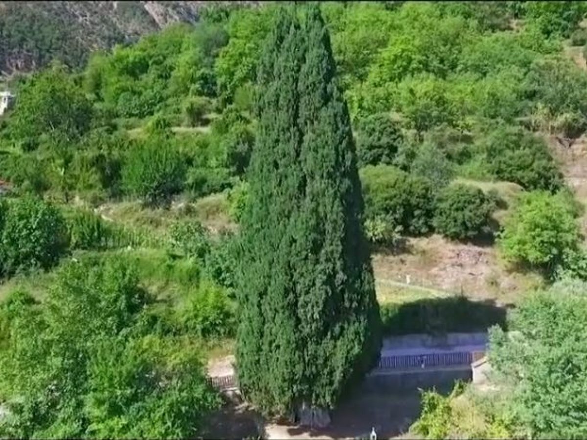 Πρασιά Αγράφων: Το κυπαρίσσι του Πατροκοσμά και ο χρησμός της λευτεριάς