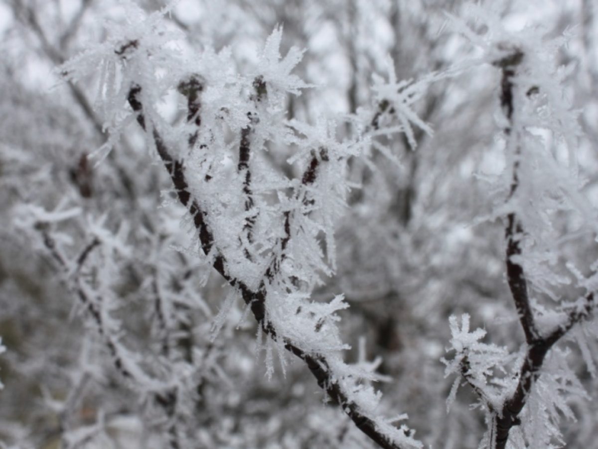 Πρέσπα: Μια ώρα αργότερα τα σχολεία την Τρίτη