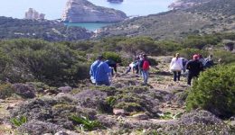 programma-pezoporikon-diadromon-15.1-31.3.2026