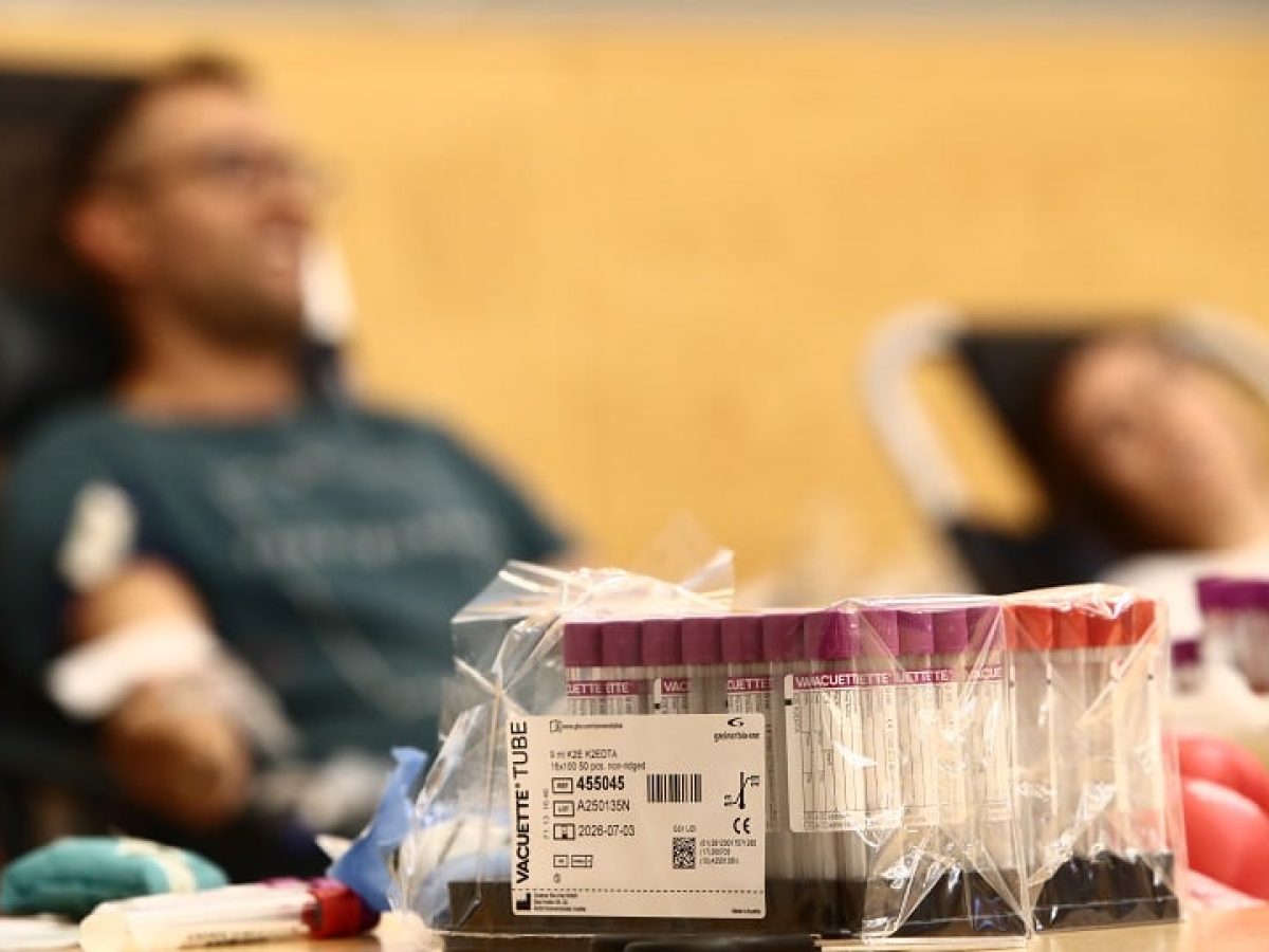 Προσφορά ζωής από τον Σύλλογο Ποντίων «Αργοναύται-Κομνηνοί»