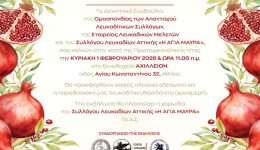 prosklisi-stin-kopi-protochroniatikis-pitas-1