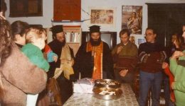 prosklisi-stin-kopi-tis-vasilopitas-2