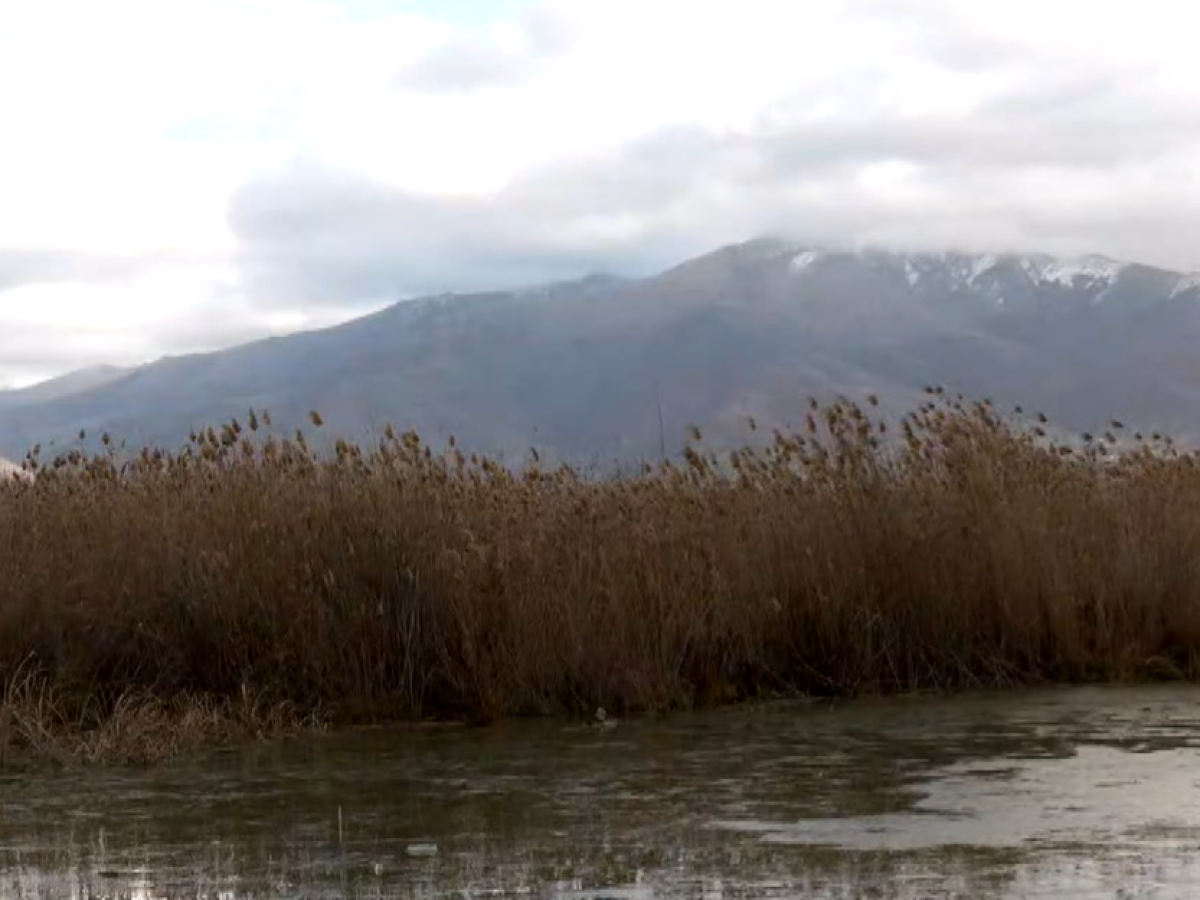 Προσωρινή «ανάσα» για Μικρή και Μεγάλη Πρέσπα εν μέσω κλιματικής αλλαγής- Συνεχίζεται η αύξηση της στάθμης των υδάτων