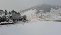 prosorini-apagorefsi-kikloforias-ochimaton-ston