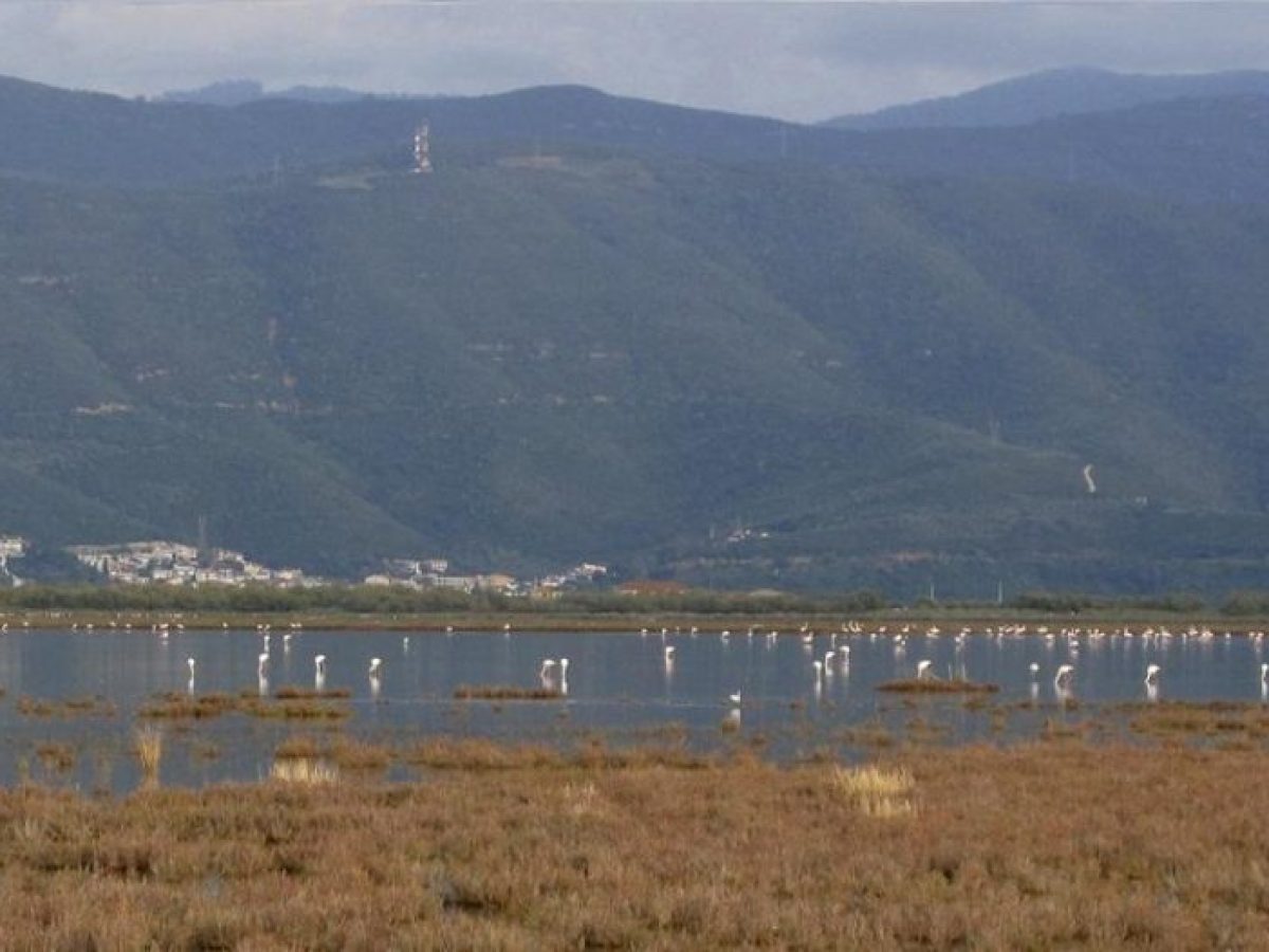 Προτάσεις στη ΣΜΠΕ για την προστασία της «προίκας» του Αμβρακικού