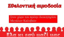 protovoulia-zois-sta-megala-kalivia-1
