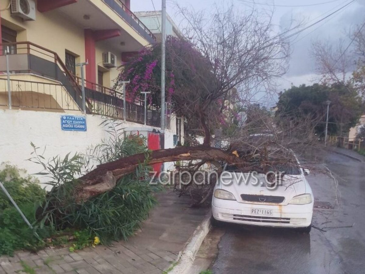 Προβλήματα από τους δυνατούς ανέμους στα Χανιά – Πτώσεις δέντρων σε Σούδα και Άγιο Ιωάννη  | Photos