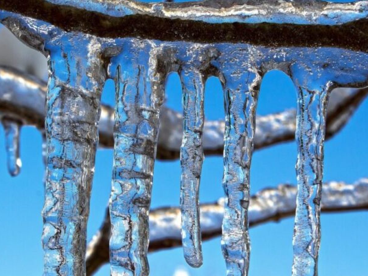 Προβλήματα έφερε ο παγετός στα Τρίκαλα