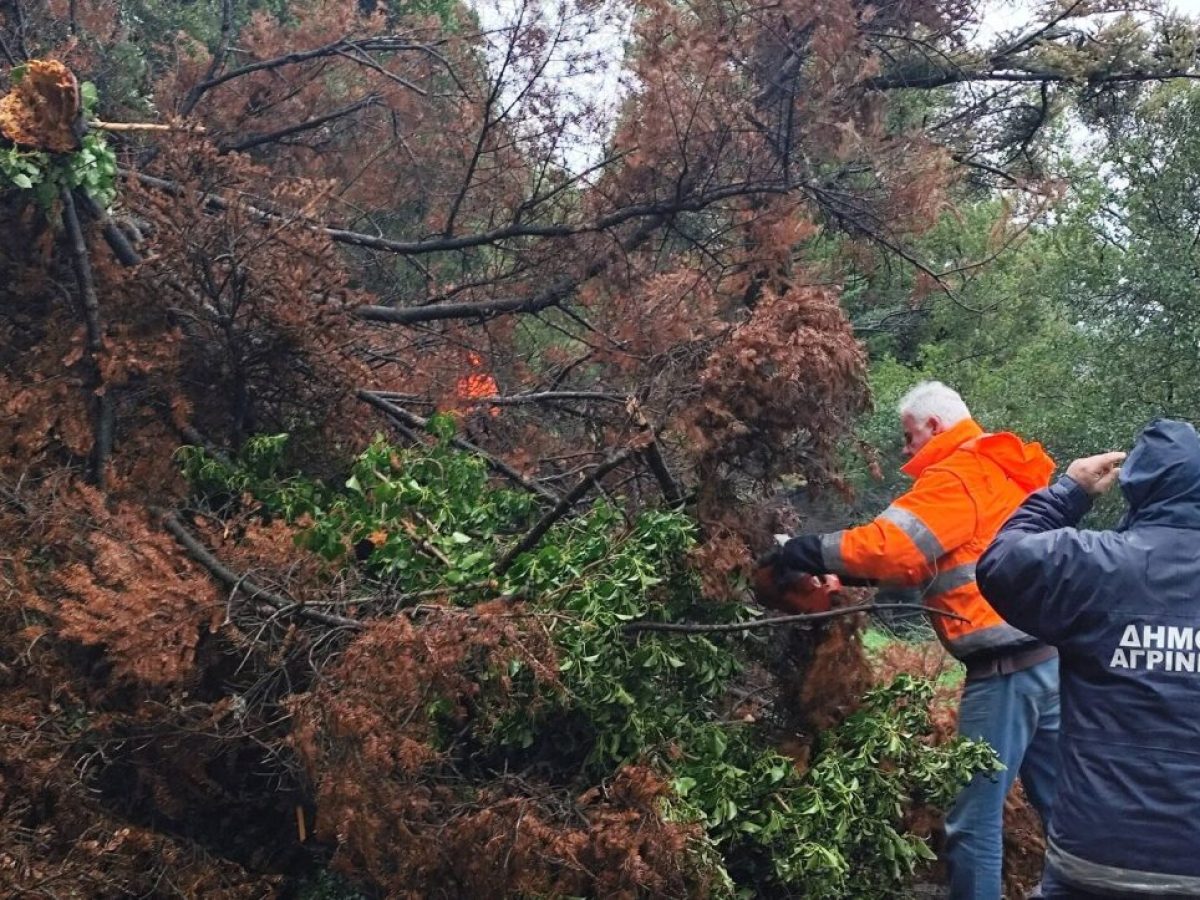 Προβλήματα στο οδικό δίκτυο Άνω και Κάτω Κερασόβου, Ρίγανη και πτώσεις δένδρων σε οικισμούς των Σιδήρων και του Παναιτωλίου λόγω κακοκαιρίας