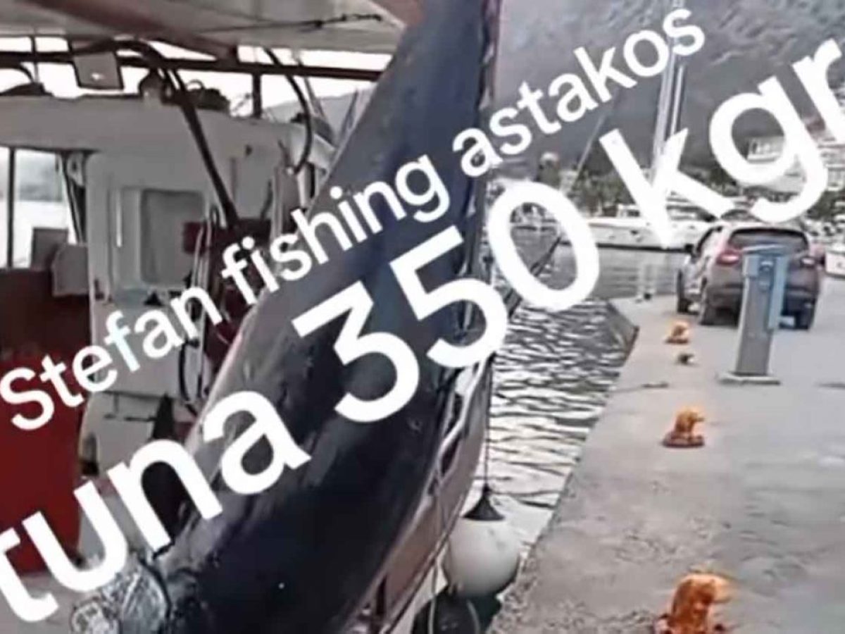Ψαράδες από τον Αστακό έπιασαν τόνο 350 κιλών! (video)