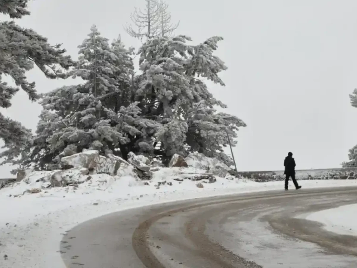 Ψυχρή εισβολή στη Δυτική Αττική: Βουτιά θερμοκρασίας, βοριάδες και χιόνια στα ορεινά