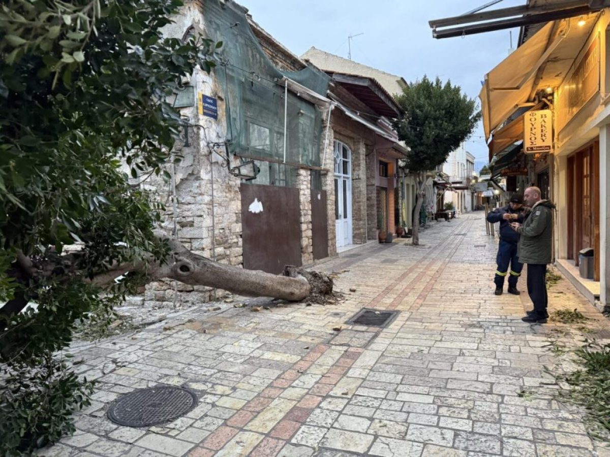 Πτώσεις δέντρων από ισχυρούς ανέμους σε διάφορα σημεία στο Μεσολόγγι