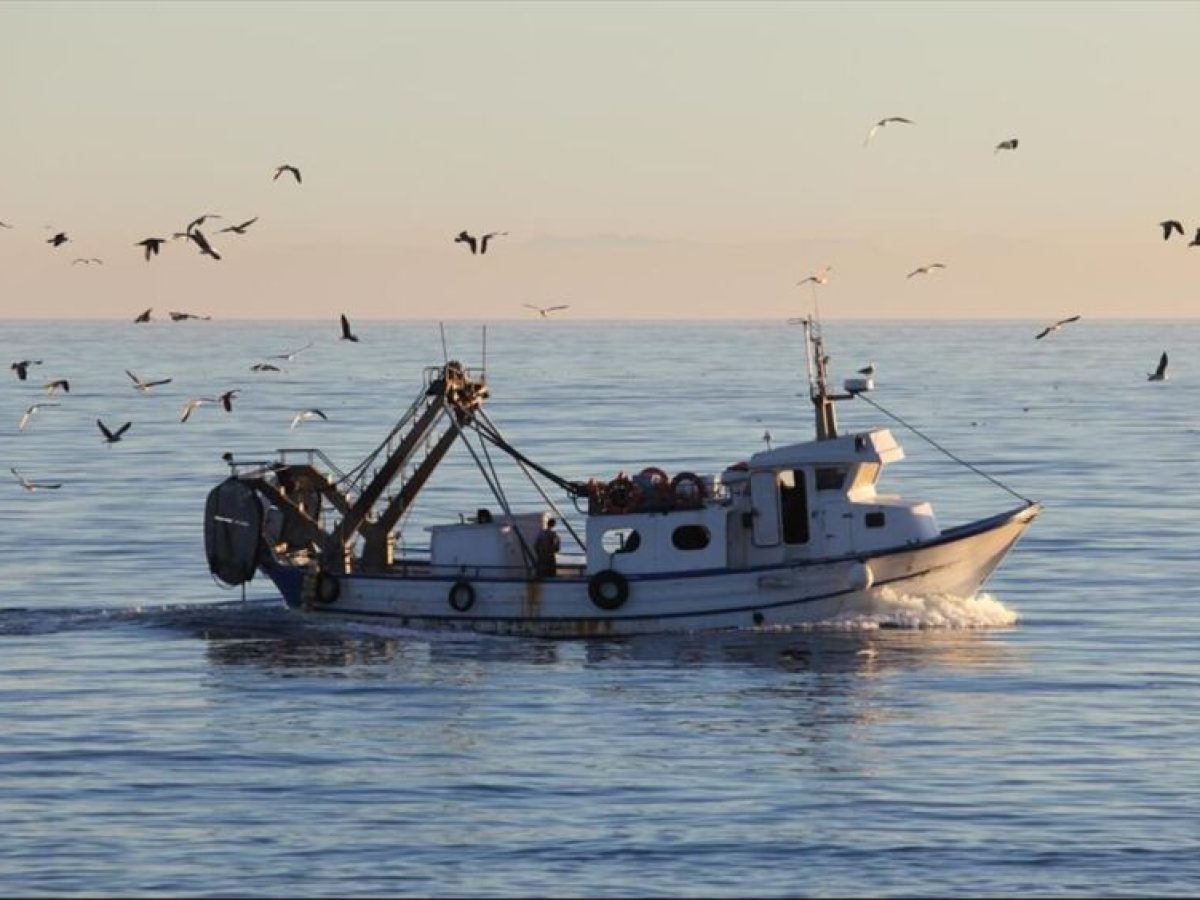 ΠΑΜΘ: Δράσεις καινοτομίας και εξωστρέφειας στον τομέα Αλιείας και Υδατοκαλλιέργειας