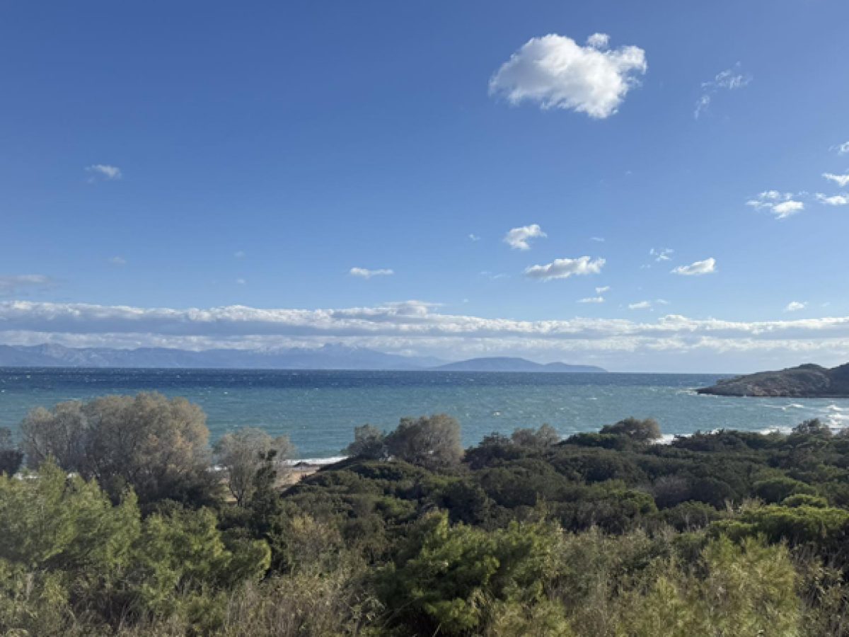 Ραφήνα: Πρωτοχρονιά στις “ερημικές” Μαρίκες – Μια εικόνα χειμωνιάτικης γαλήνης και καθαρού ουρανού