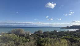 rafina-protochronia-stis-erimikes-marikes