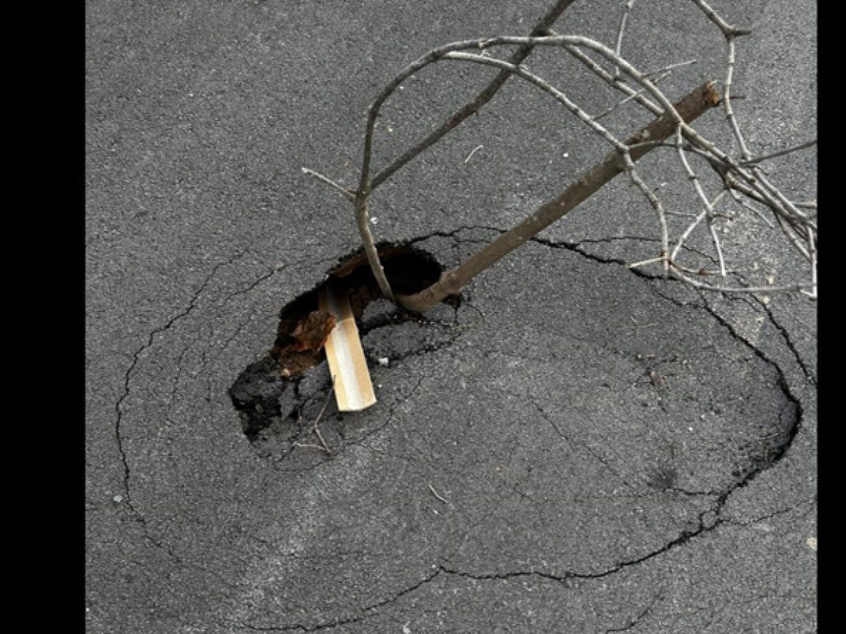 Ραφήνα: Σε άθλια κατάσταση το οδικό δίκτυο στο Νέο Βουτζά (φωτό)