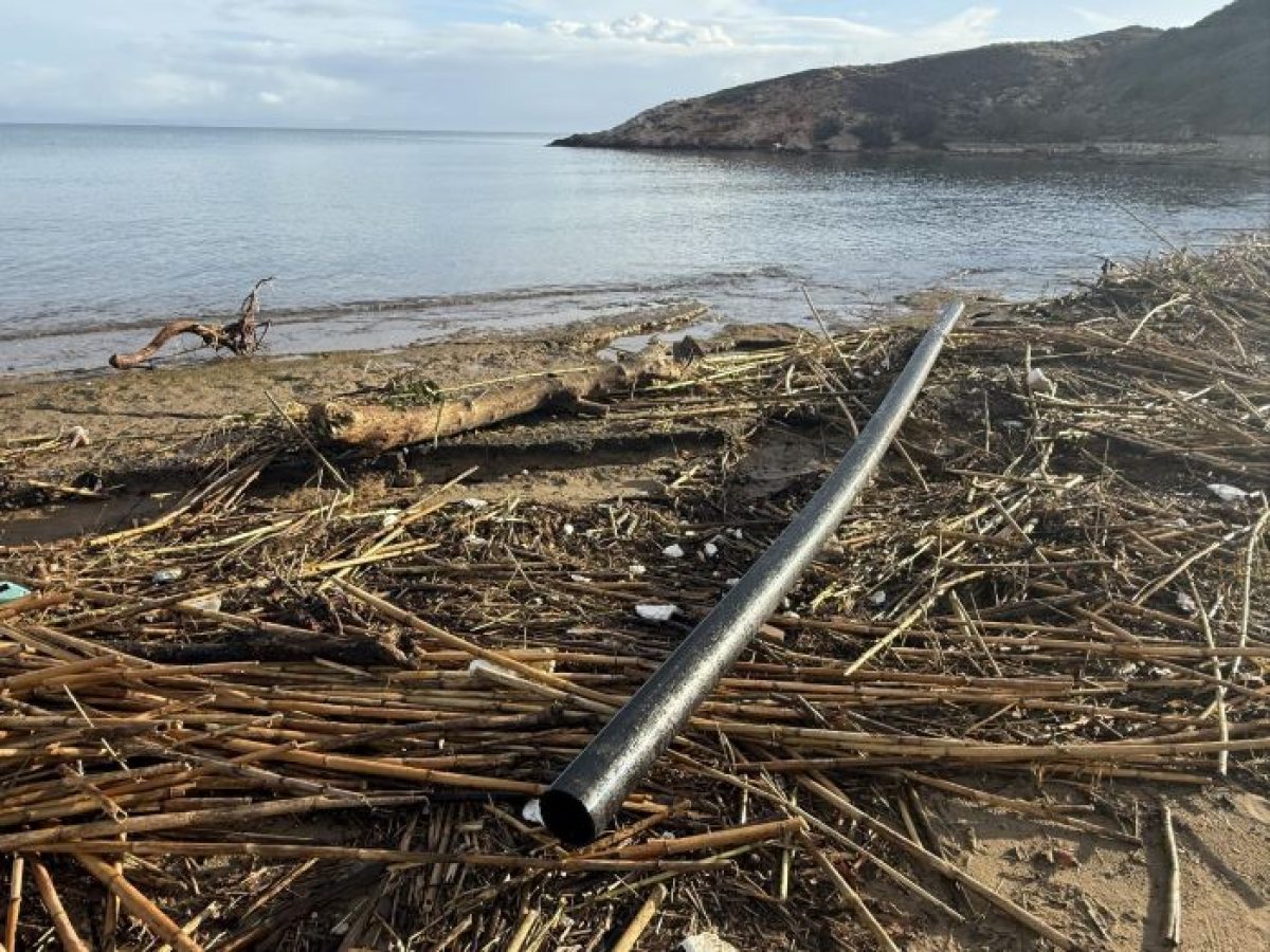 Ραφήνα: Στις Μαρίκες ξεβράστηκε και σωλήνας 6 μέτρων – «Σε ποιο εργοτάξιο τον ψάχνουν;» – rpn