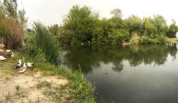 rema-trachonon-paremvasi-tou-isangelea