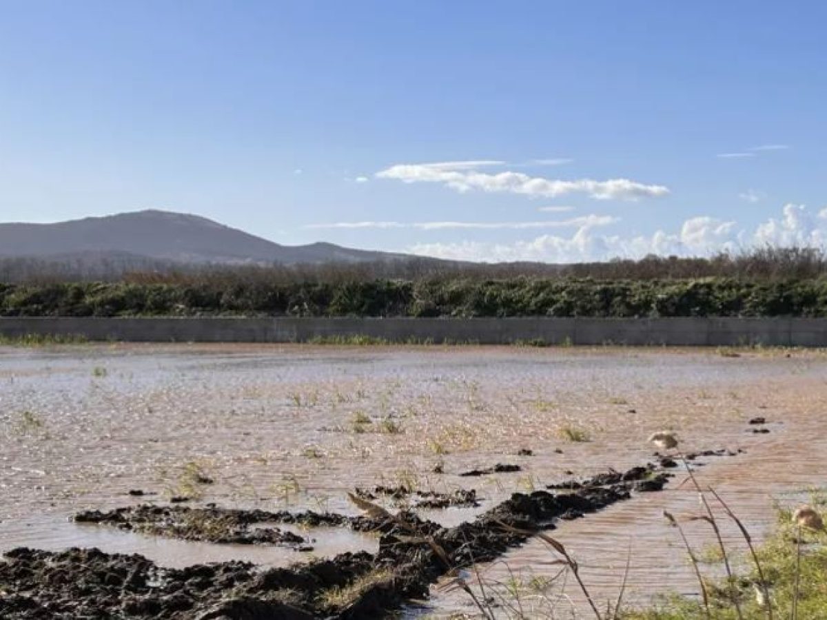 Ροδόπη: Αγνοείται για 3η ημέρα ο 80χρονος αγρότης