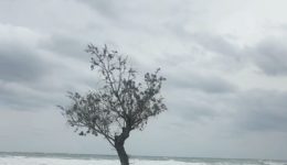 rodos-prosorini-diakopi-kikloforias-stin
