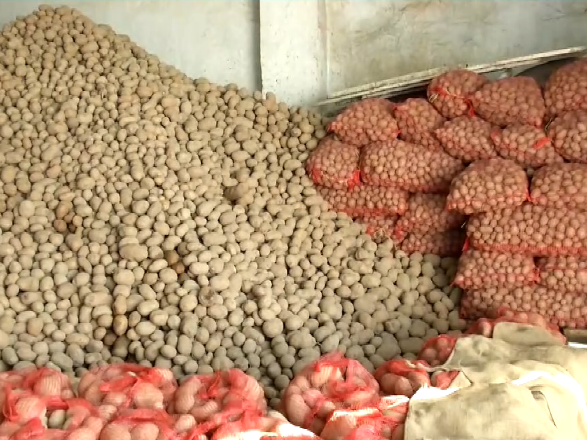 Σαπίζουν στις αποθήκες- Απούλητες οι περίφημες πατάτες της Άνω Βροντούς