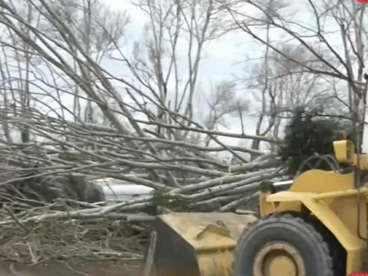 “Σάρωσε” την Αλεξανδρούπολη ο ανεμοστρόβιλος: Τροχόσπιτα καταστράφηκαν από πτώσεις δέντρων – Ξεκίνησαν οι δηλώσεις ζημιών