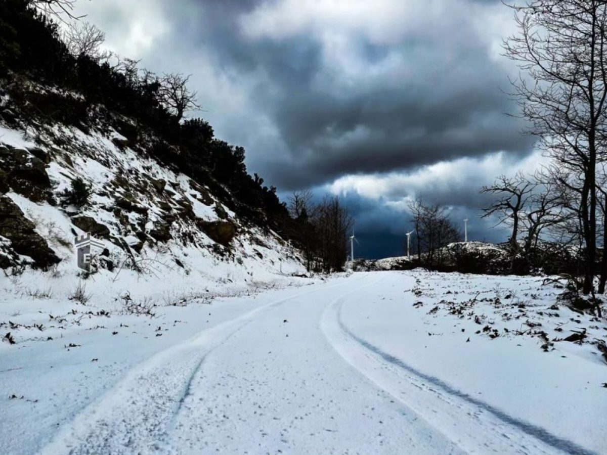Σε αυτή την περιοχή της Εύβοιας το χιόνι έχει σκεπάσει τα πάντα: Μαγική εικόνα