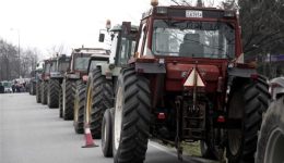 se-krisimi-kampi-i-agrotikes-1