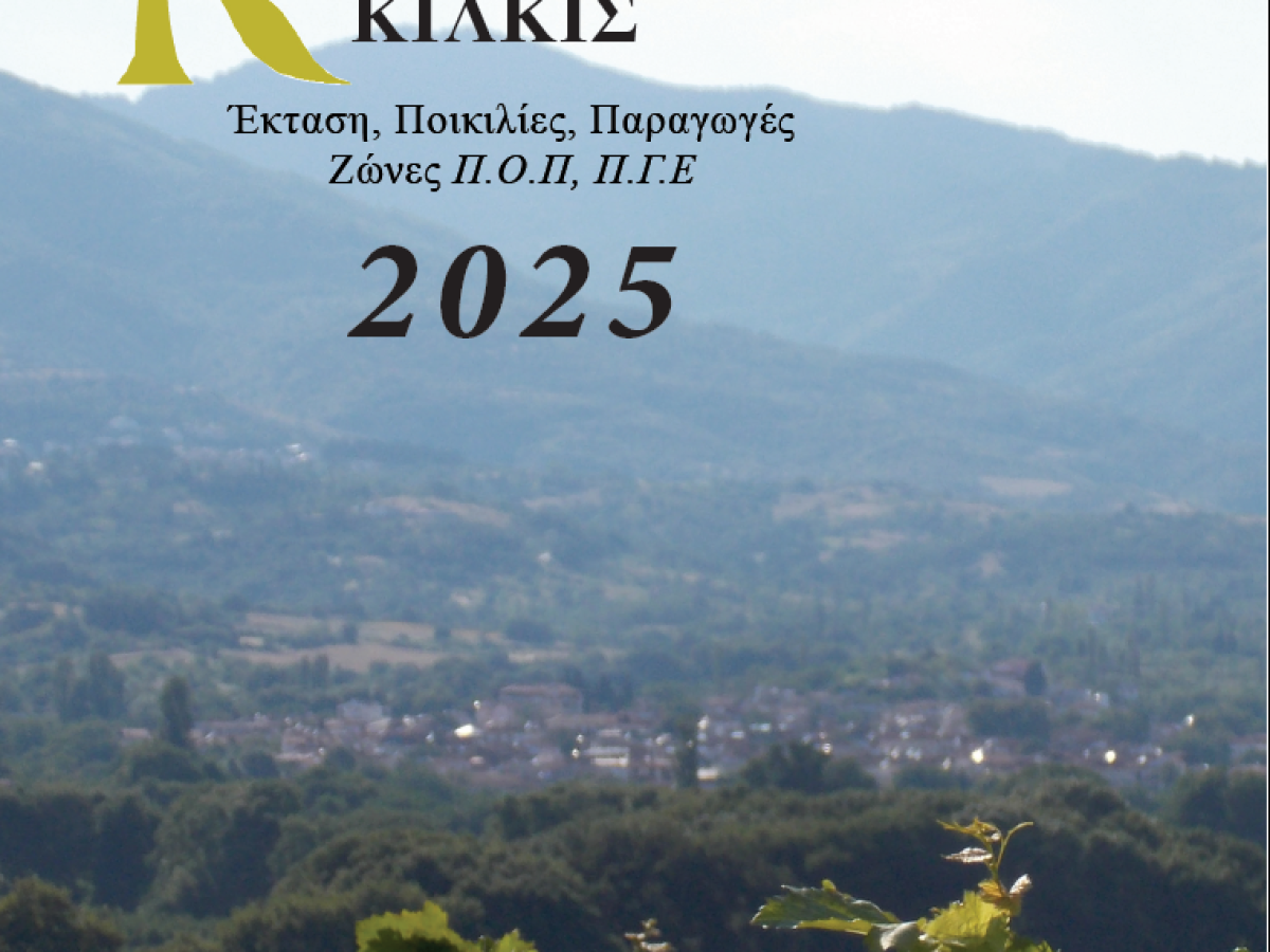 Σε ποσοστό άνω του 60% αυξήθηκε μεταξύ 2008 και 2025 η έκταση του Αμπελώνα Κιλκίς