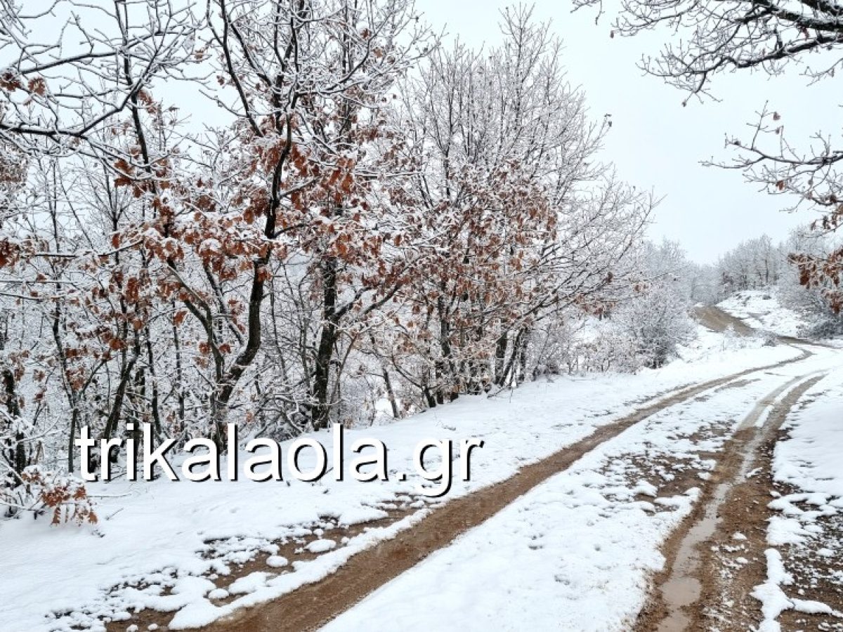 Σύγκληση Έκτακτου ΠΕ.Σ.Ο.Π.Π. της Π.Ε. Τρικάλων για την κακοκαιρία