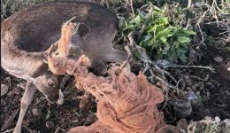 sigklonistiki-stigmi-enaerites-tis-kritis