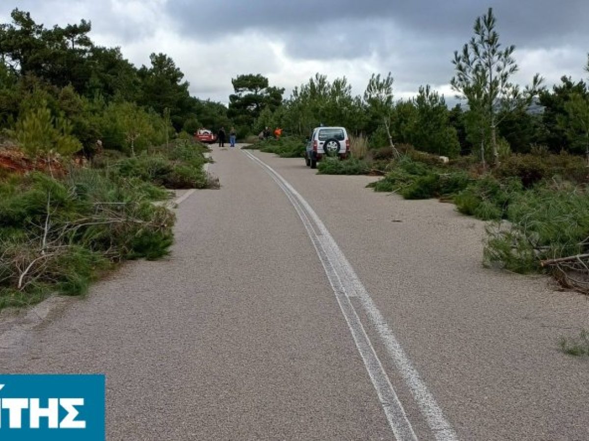 Σημαντική εθελοντική πρωτοβουλία πυροπροστασίας στα Αυγώνυμα