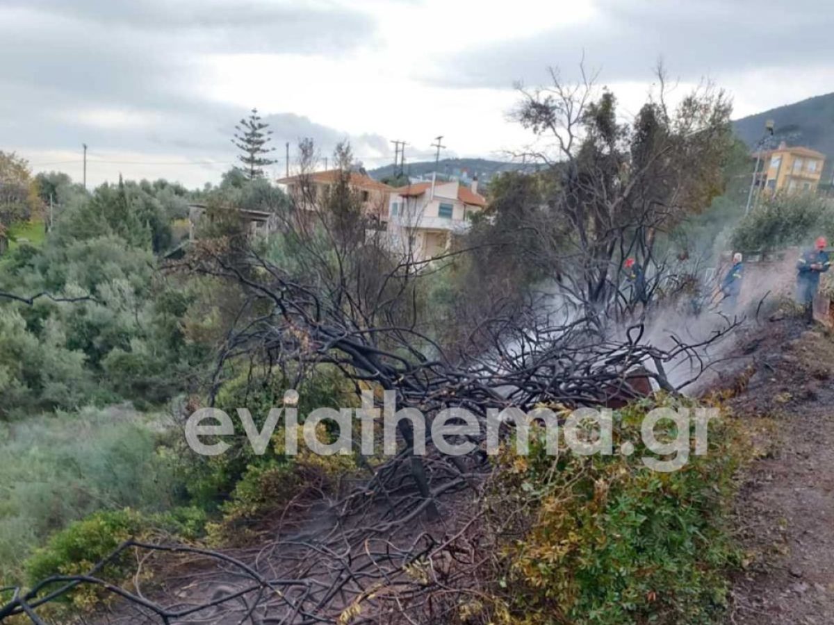 Συναγερμός στα Λουκίσια: Πυρκαγιά δίπλα στον δρόμο κινητοποίησε την Πυροσβεστική Χαλκίδας
