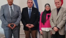 sinantisi-pasiopoulou-me-emporiki-&Alpha;koloutho