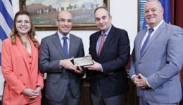 sinantisi-plakiotaki-&ndash;-giorgou-me