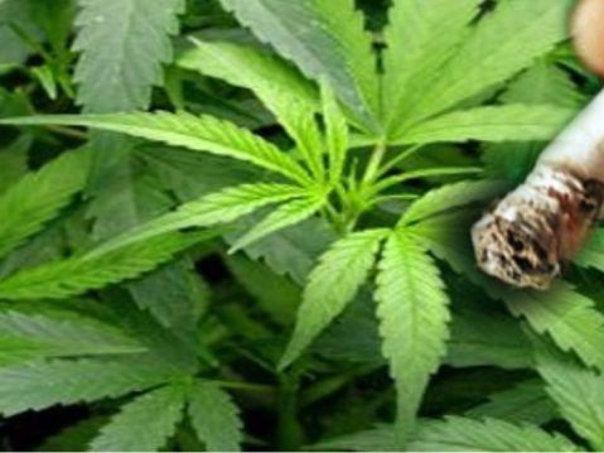 Συνελήφθη στη Μυτιλήνη ένας 29χρονος με λίγο χασισάκι μυρωδάτο